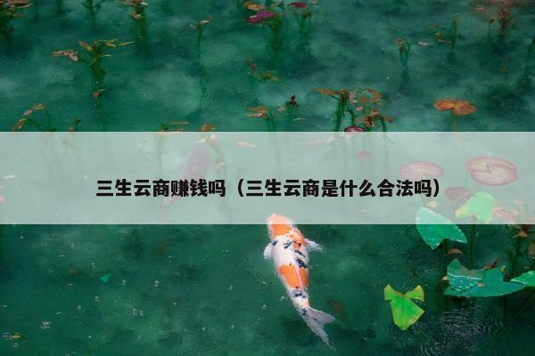 三生云商赚钱吗（三生云商是什么合法吗）