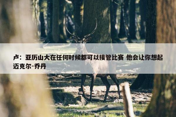 卢：亚历山大在任何时候都可以接管比赛 他会让你想起迈克尔-乔丹