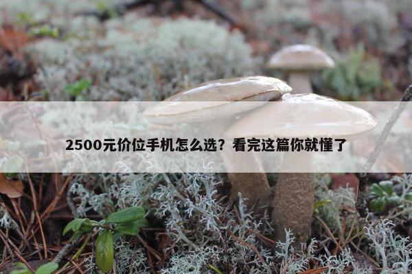 2500元价位手机怎么选？看完这篇你就懂了