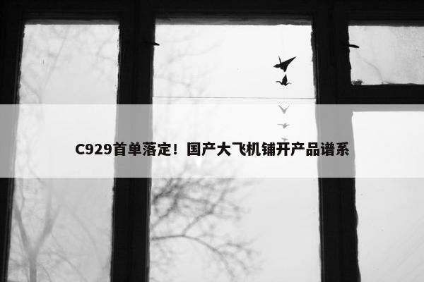 C929首单落定！国产大飞机铺开产品谱系