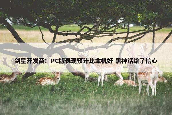 剑星开发商：PC版表现预计比主机好 黑神话给了信心