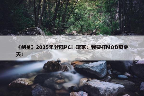 《剑星》2025年登陆PC！玩家：我要打MOD爽翻天！