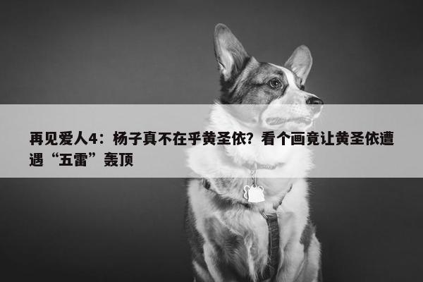 再见爱人4：杨子真不在乎黄圣依？看个画竟让黄圣依遭遇“五雷”轰顶