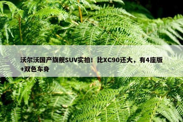 沃尔沃国产旗舰SUV实拍！比XC90还大，有4座版+双色车身