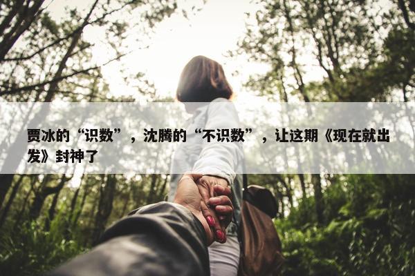 贾冰的“识数”，沈腾的“不识数”，让这期《现在就出发》封神了