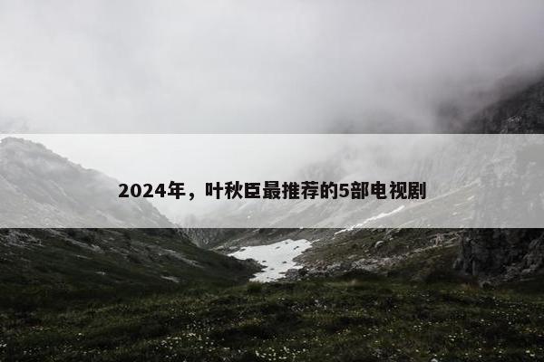 2024年，叶秋臣最推荐的5部电视剧