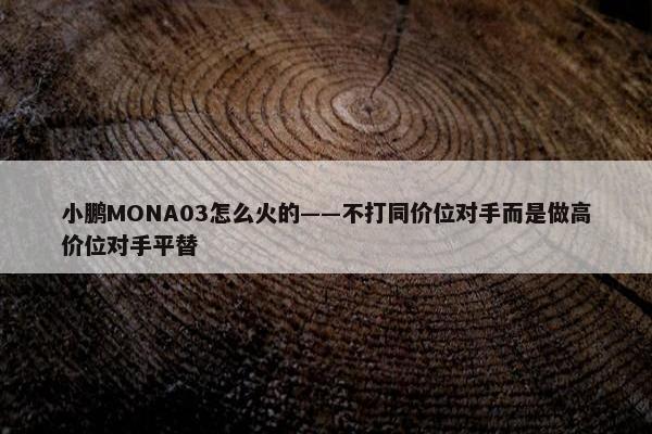 小鹏MONA03怎么火的——不打同价位对手而是做高价位对手平替