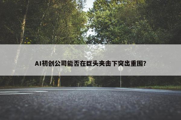 AI初创公司能否在巨头夹击下突出重围？