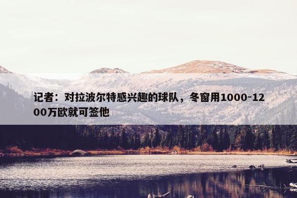 记者：对拉波尔特感兴趣的球队，冬窗用1000-1200万欧就可签他