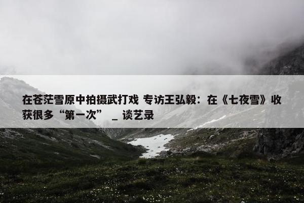 在苍茫雪原中拍摄武打戏 专访王弘毅：在《七夜雪》收获很多“第一次” _ 谈艺录