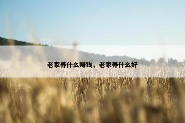 老家养什么赚钱，老家养什么好