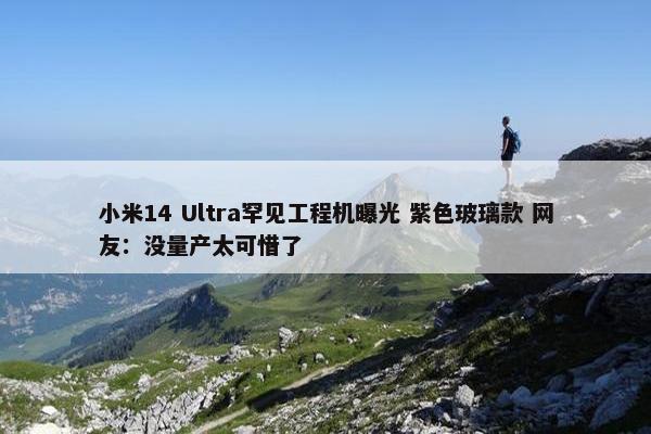 小米14 Ultra罕见工程机曝光 紫色玻璃款 网友：没量产太可惜了