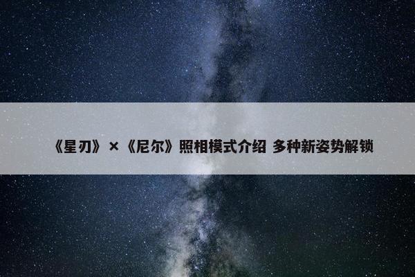 《星刃》×《尼尔》照相模式介绍 多种新姿势解锁