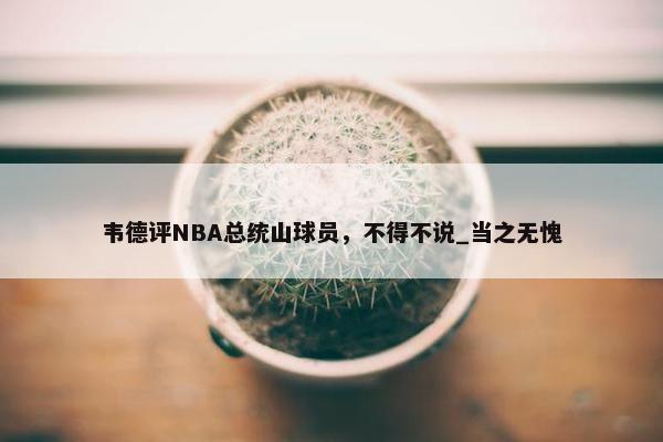 韦德评NBA总统山球员，不得不说_当之无愧