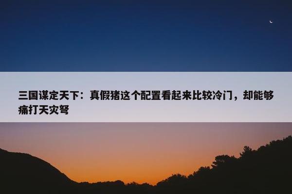 三国谋定天下：真假猪这个配置看起来比较冷门，却能够痛打天灾弩