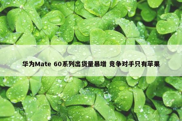 华为Mate 60系列出货量暴增 竞争对手只有苹果