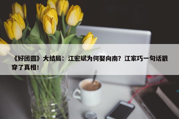 《好团圆》大结局：江宏斌为何娶向南？江家巧一句话戳穿了真相！