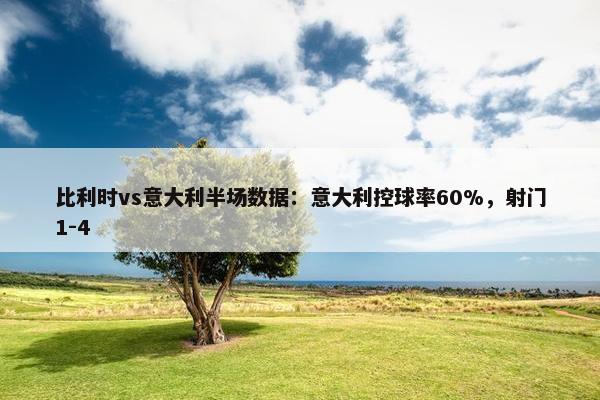 比利时vs意大利半场数据：意大利控球率60%，射门1-4