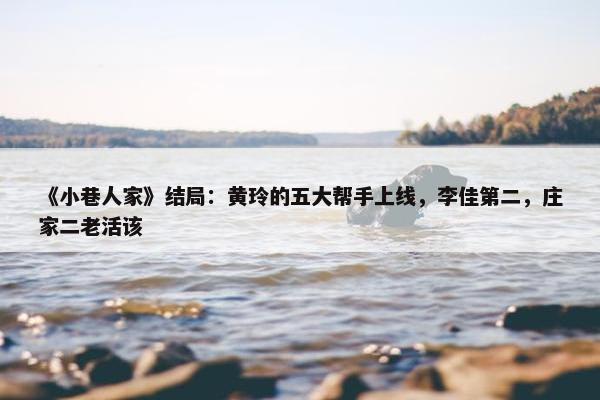 《小巷人家》结局：黄玲的五大帮手上线，李佳第二，庄家二老活该