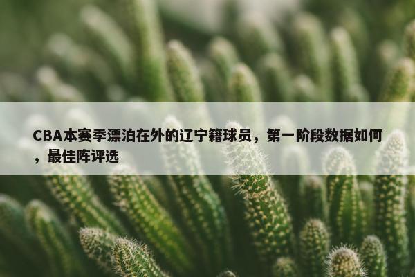 CBA本赛季漂泊在外的辽宁籍球员，第一阶段数据如何，最佳阵评选