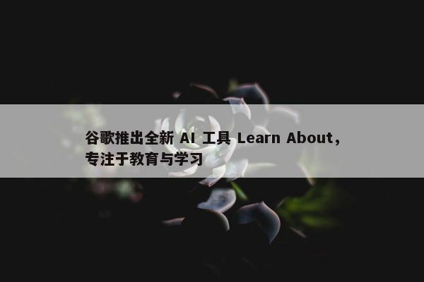 谷歌推出全新 AI 工具 Learn About，专注于教育与学习