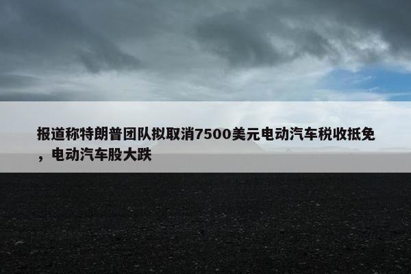 报道称特朗普团队拟取消7500美元电动汽车税收抵免，电动汽车股大跌