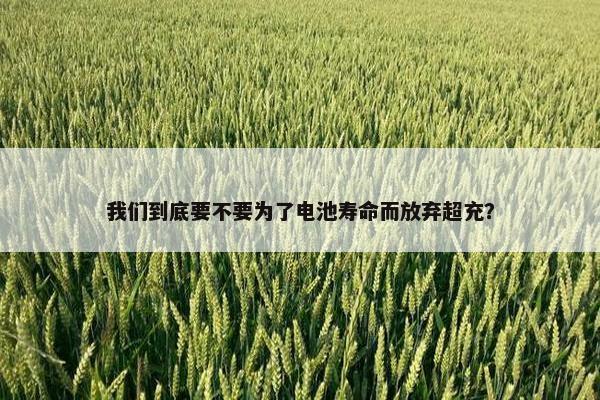 我们到底要不要为了电池寿命而放弃超充？