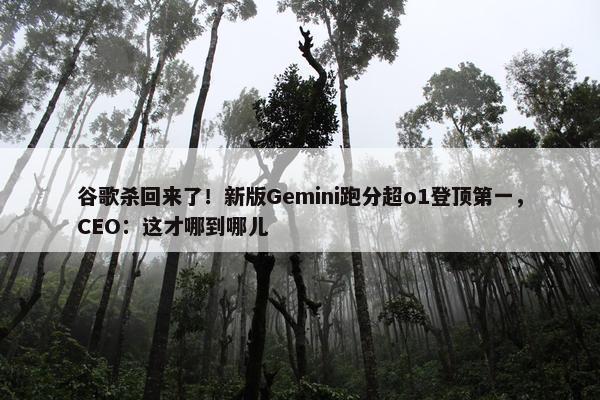 谷歌杀回来了！新版Gemini跑分超o1登顶第一，CEO：这才哪到哪儿