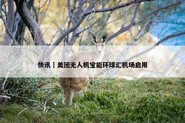 快讯｜美团无人机宝能环球汇机场启用