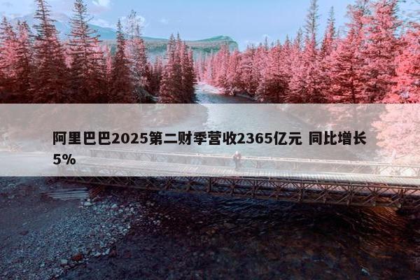 阿里巴巴2025第二财季营收2365亿元 同比增长5%