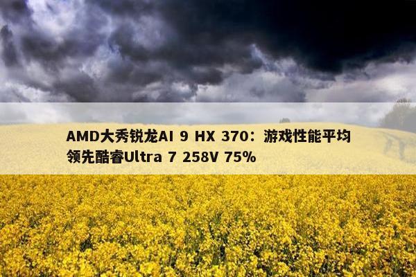 AMD大秀锐龙AI 9 HX 370：游戏性能平均领先酷睿Ultra 7 258V 75％