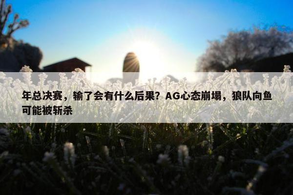 年总决赛，输了会有什么后果？AG心态崩塌，狼队向鱼可能被斩杀