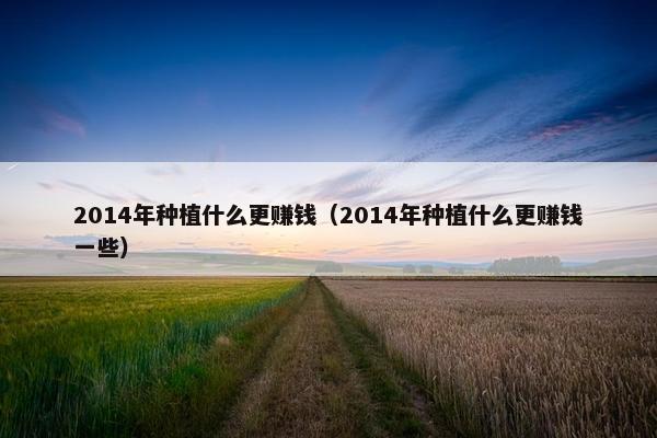 2014年种植什么更赚钱（2014年种植什么更赚钱一些）