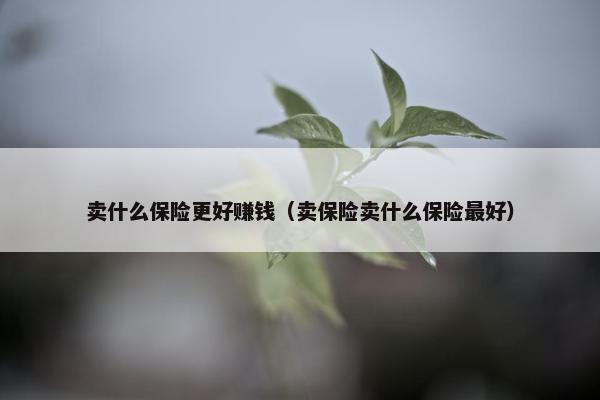 卖什么保险更好赚钱（卖保险卖什么保险最好）