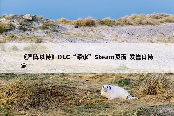 《严阵以待》DLC“深水”Steam页面 发售日待定