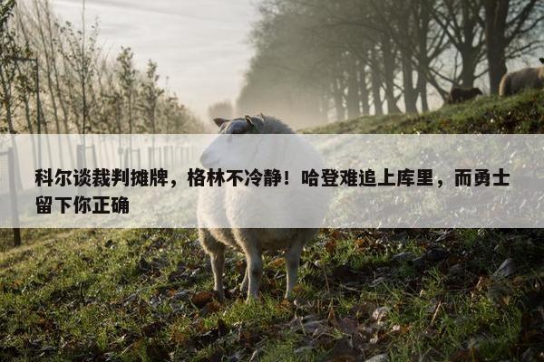 科尔谈裁判摊牌，格林不冷静！哈登难追上库里，而勇士留下你正确