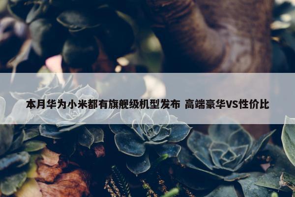 本月华为小米都有旗舰级机型发布 高端豪华VS性价比