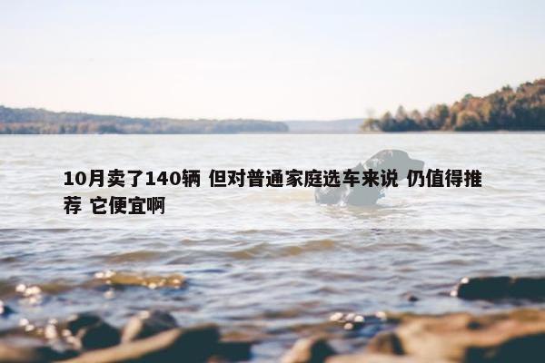 10月卖了140辆 但对普通家庭选车来说 仍值得推荐 它便宜啊