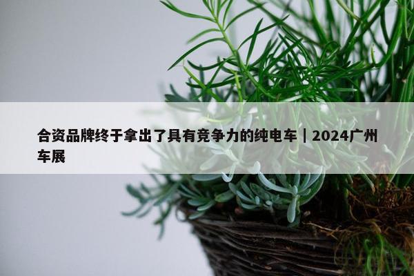 合资品牌终于拿出了具有竞争力的纯电车｜2024广州车展