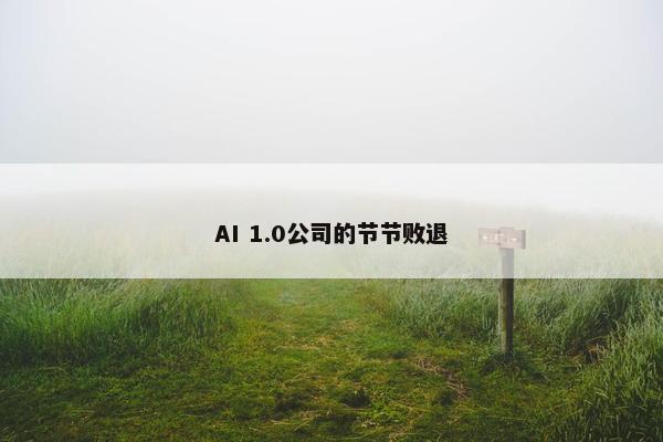 AI 1.0公司的节节败退