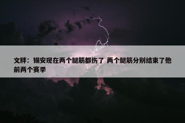 文胖：锡安现在两个腿筋都伤了 两个腿筋分别结束了他前两个赛季