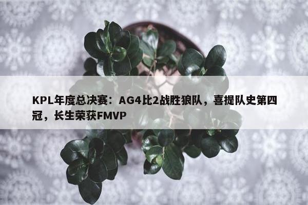 KPL年度总决赛：AG4比2战胜狼队，喜提队史第四冠，长生荣获FMVP