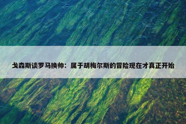 戈森斯谈罗马换帅：属于胡梅尔斯的冒险现在才真正开始