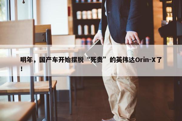 明年，国产车开始摆脱“死贵”的英伟达Orin-X了！