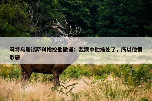 马特乌斯谈萨利指控他撒谎：我戳中他痛处了，所以他很敏感