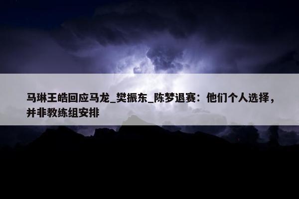 马琳王皓回应马龙_樊振东_陈梦退赛：他们个人选择，并非教练组安排