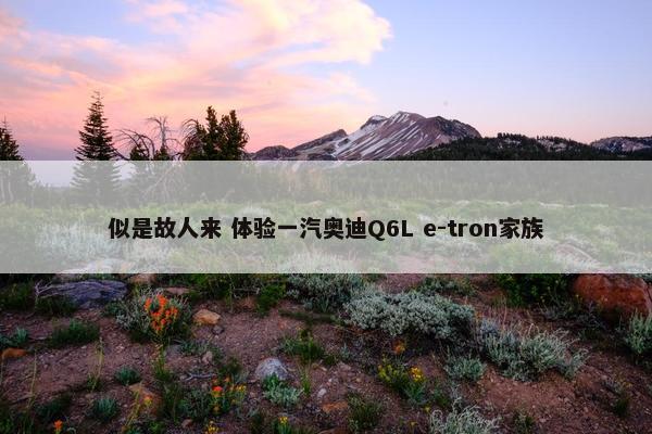 似是故人来 体验一汽奥迪Q6L e-tron家族