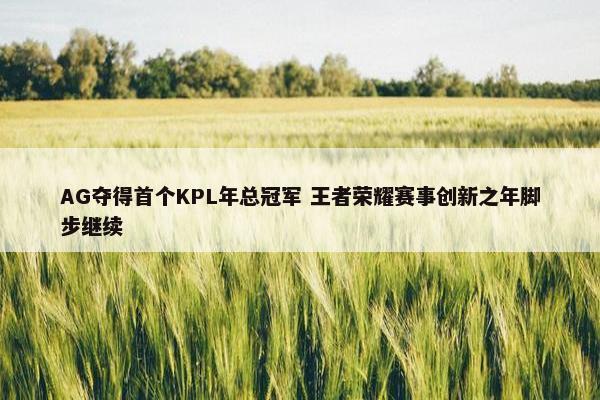 AG夺得首个KPL年总冠军 王者荣耀赛事创新之年脚步继续