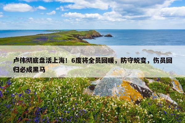 卢伟彻底盘活上海！6废将全员回暖，防守蜕变，伤员回归必成黑马