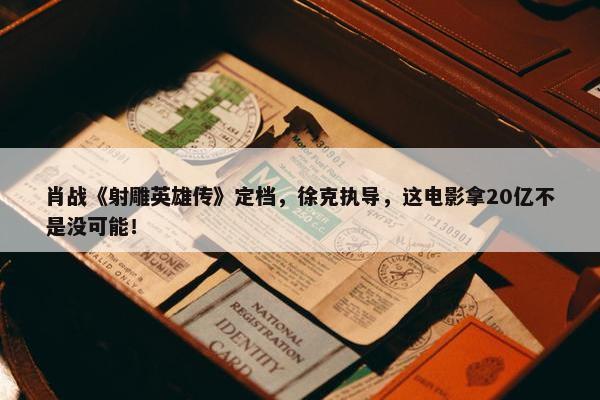 肖战《射雕英雄传》定档，徐克执导，这电影拿20亿不是没可能！